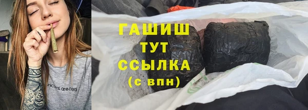 гидра Гусев
