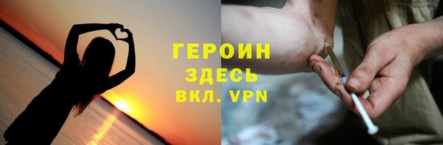 гидра Гусев