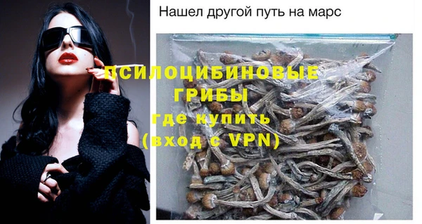 гидра Гусев