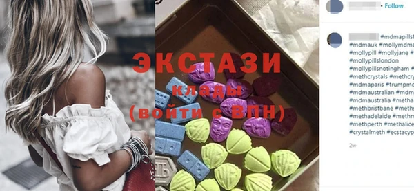 гидра Гусев