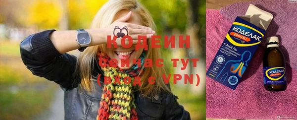 гидра Гусев