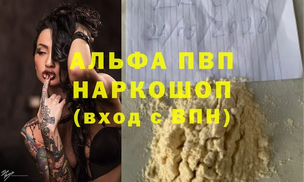гидра Гусев