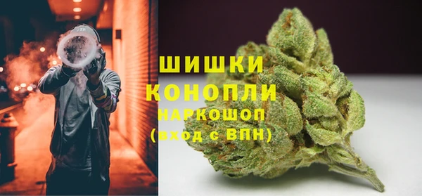 гидра Гусев
