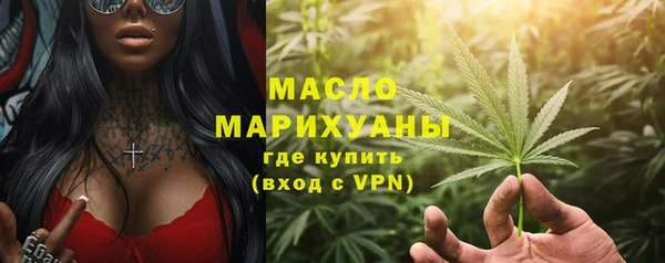 гидра Гусев