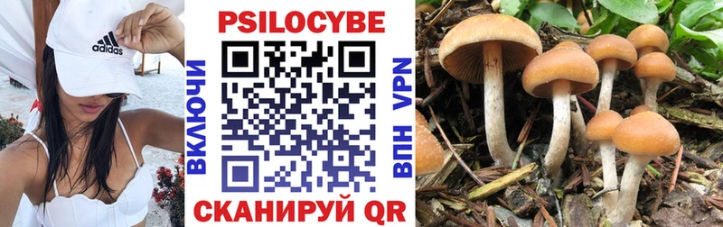 Купить закладки  Кисловодск  Псилоцибиновые грибы Psilocybine cubensis 