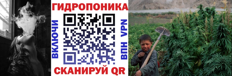 Бошки Шишки семена  Купить  Кисловодск 